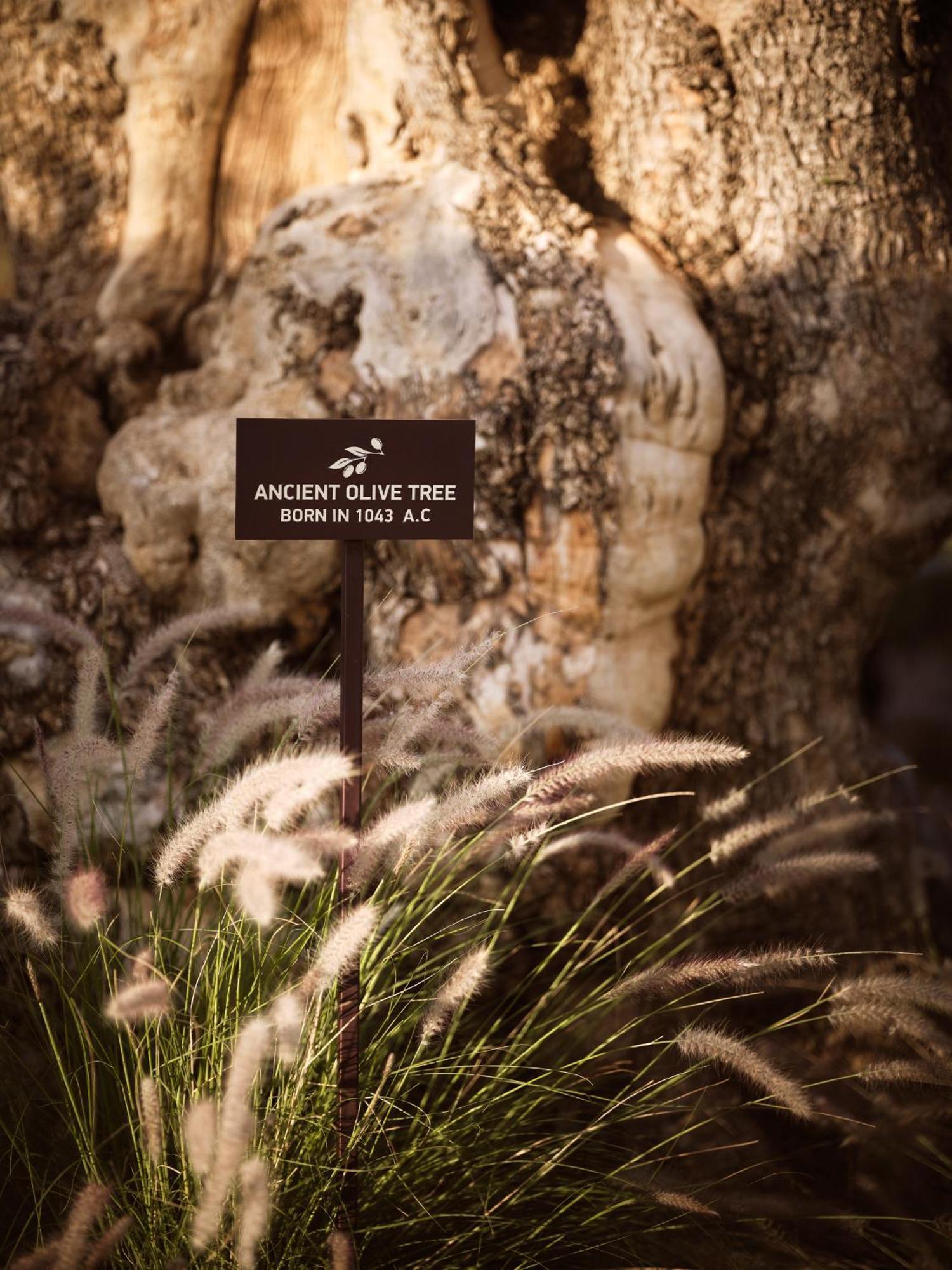 Acro - A Wellbeing (adults Only) Hotel 5*