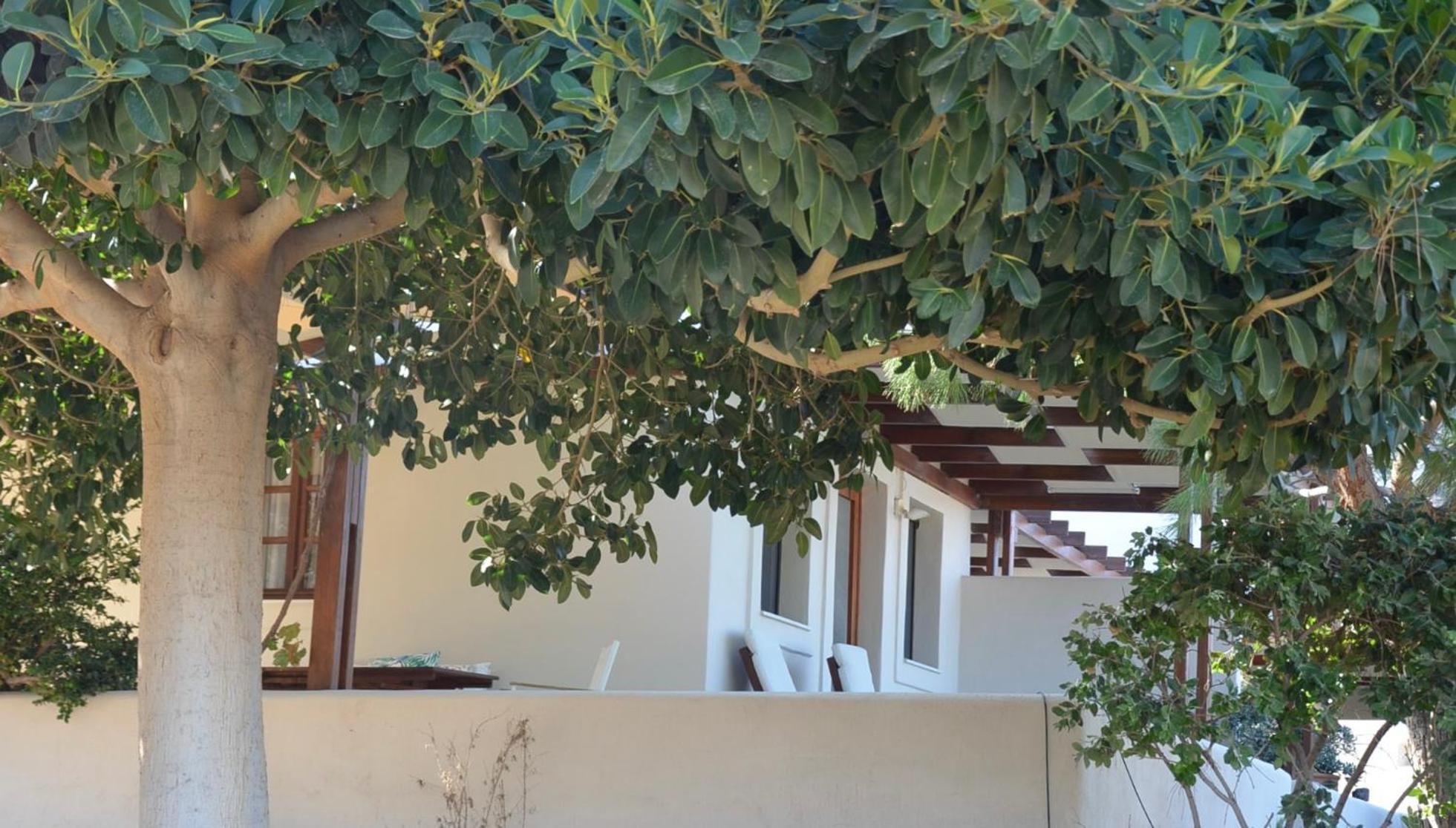 Absolute Peace South * Vourvoulos