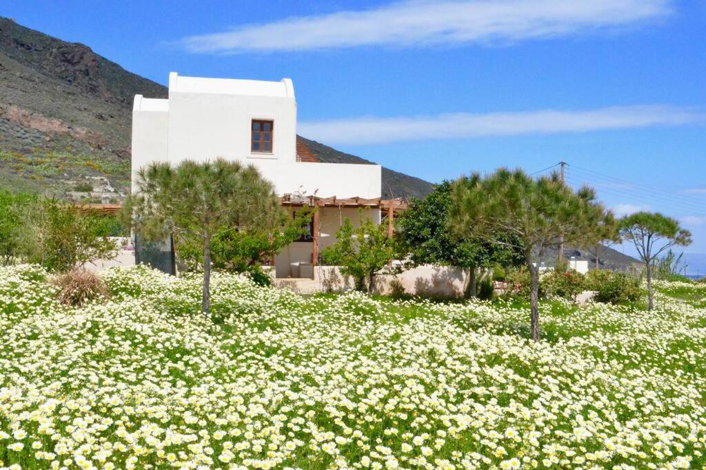 Holiday home Absolute Peace South Vourvoulos