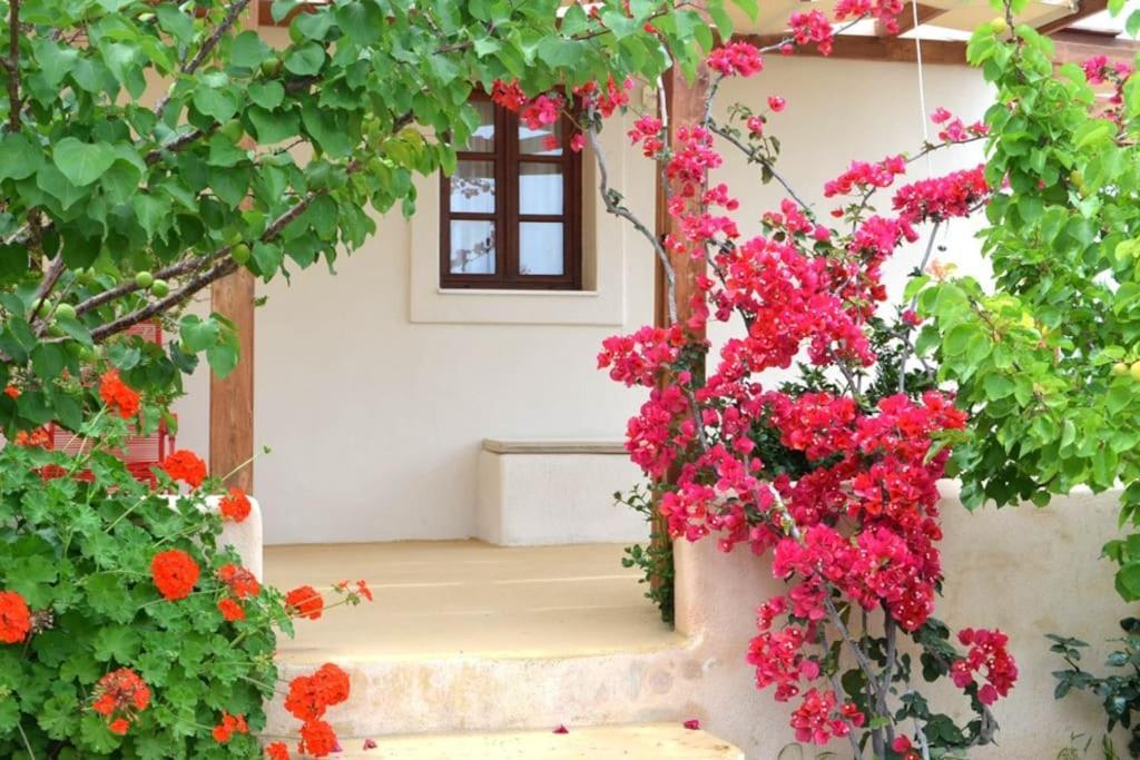 Absolute Peace South Holiday home *