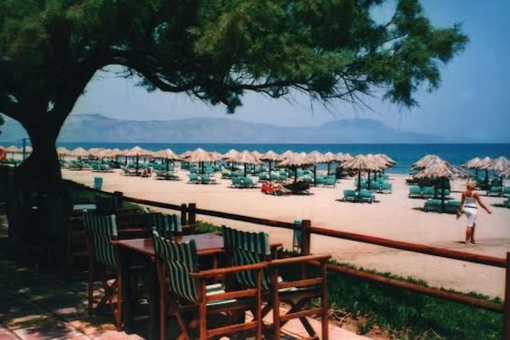 Olive Tree Farm 200m From The Holiday home