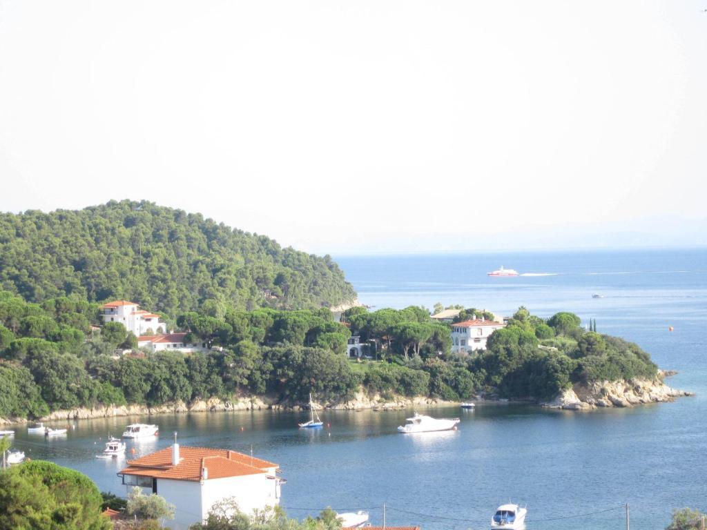 View * Kolios