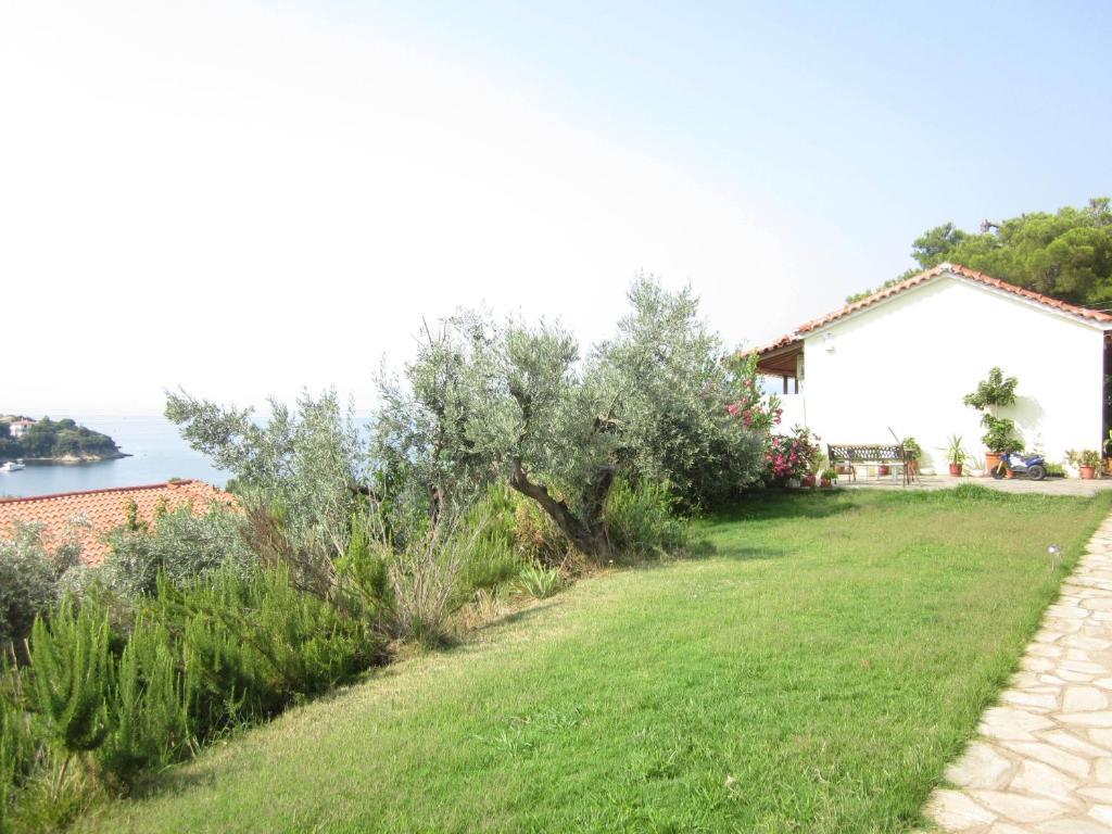 View Kolios