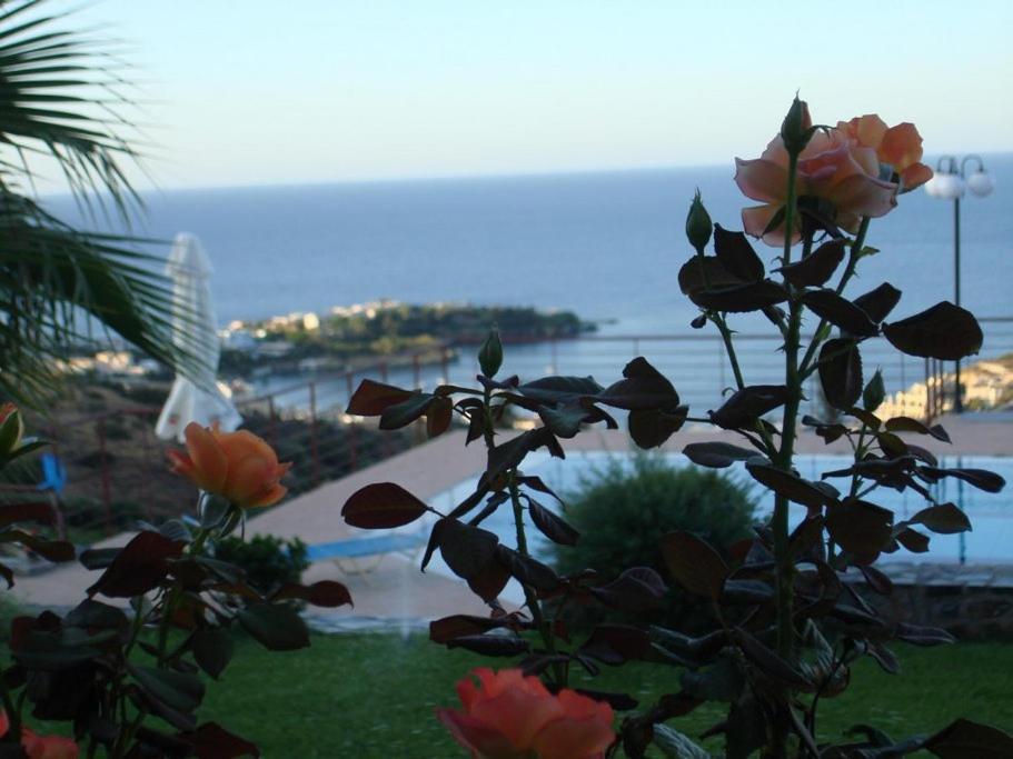 Agnanti Apartment Agia Pelagia (Crete)