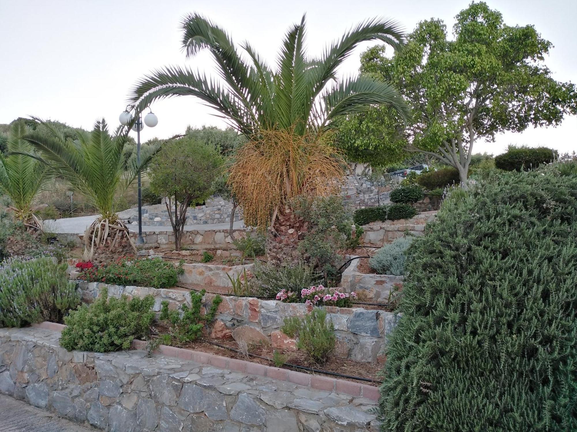 Apartment Agnanti *