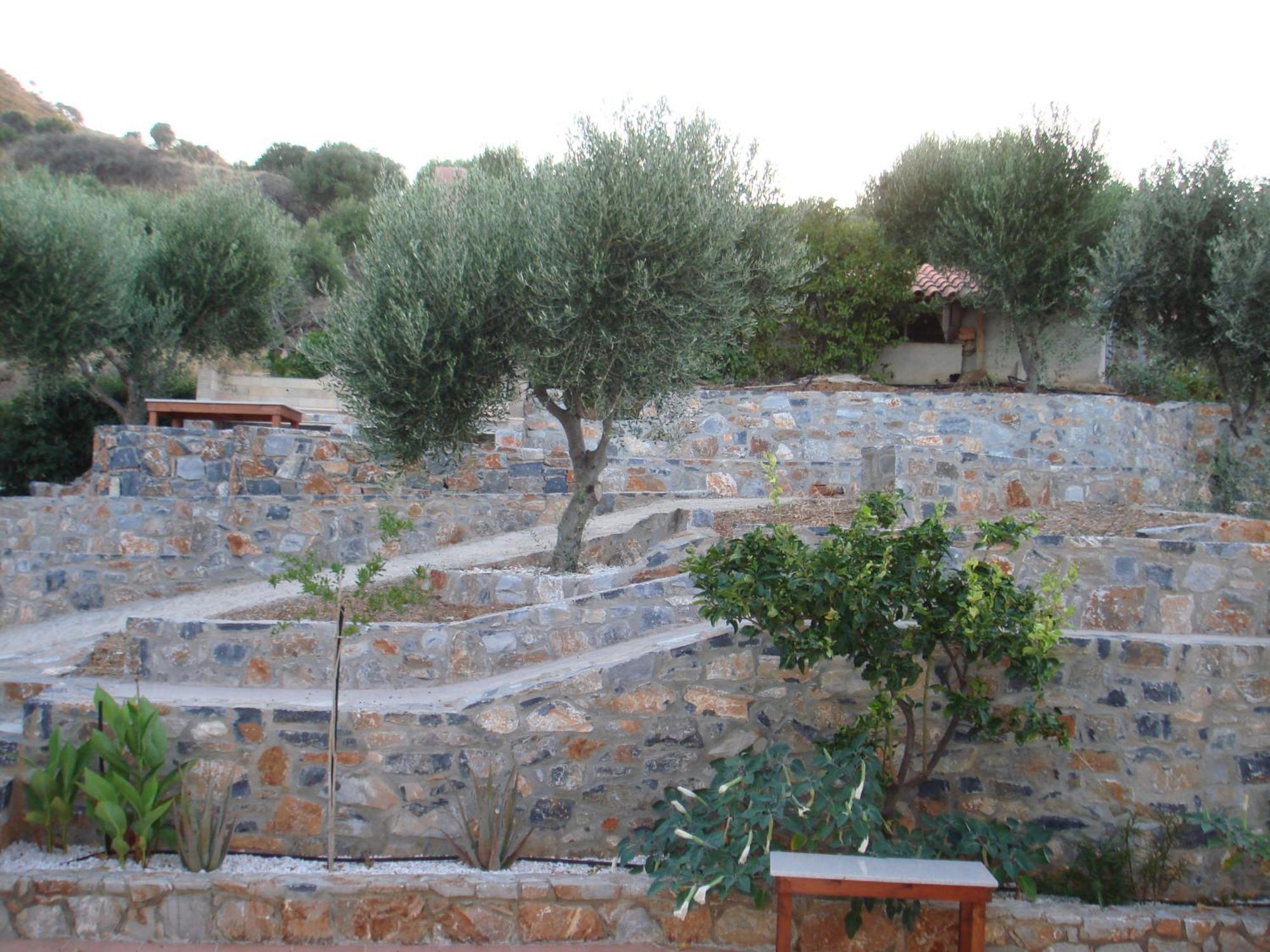 Apartment Agnanti Agia Pelagia (Crete)