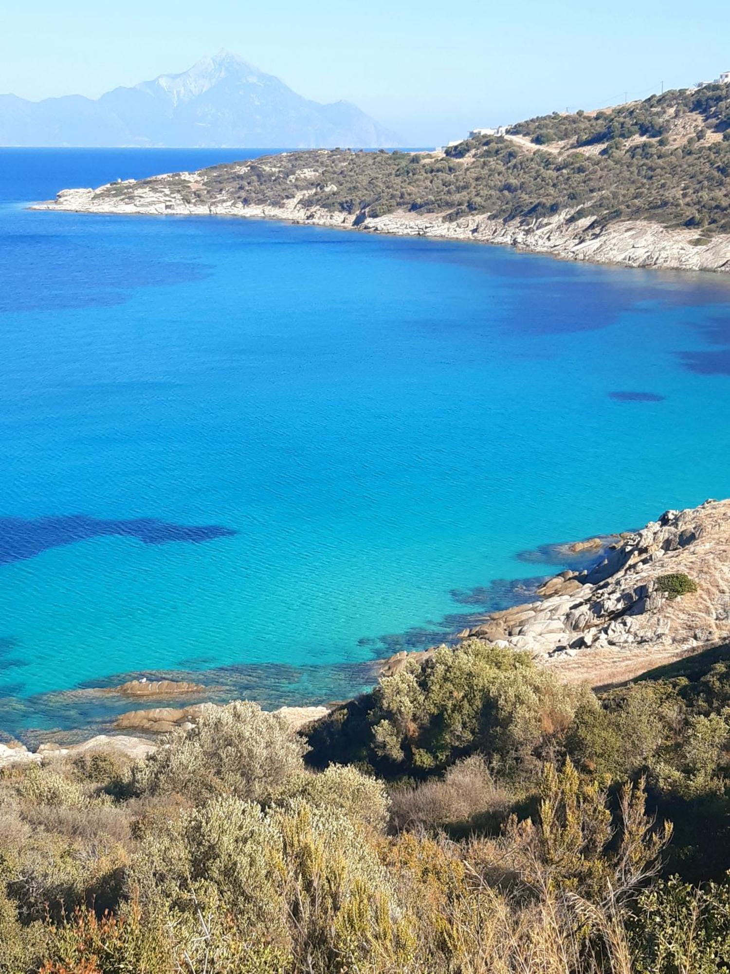 Wilem Sarti