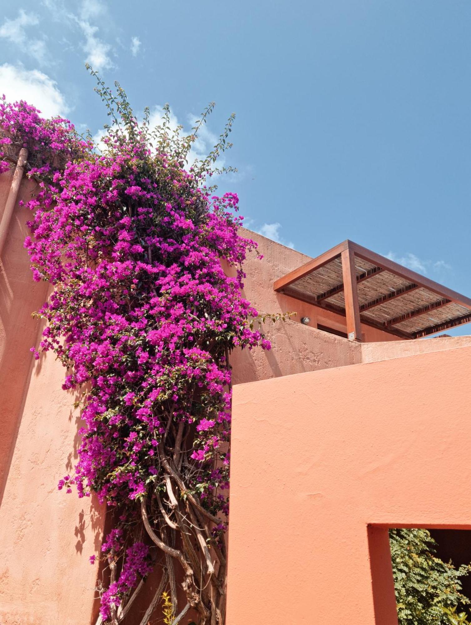 Hotel Koutouloufari Village Club Hersonissos (Crete)