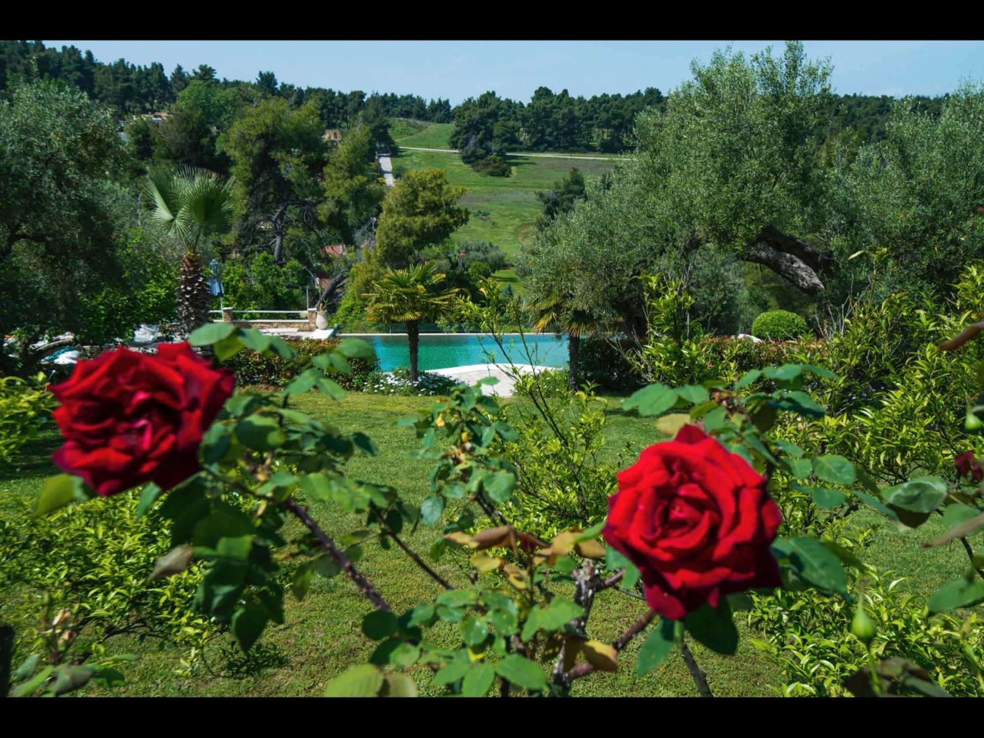 Sanidiamonds Aparthotel Sani (Chalkidiki)