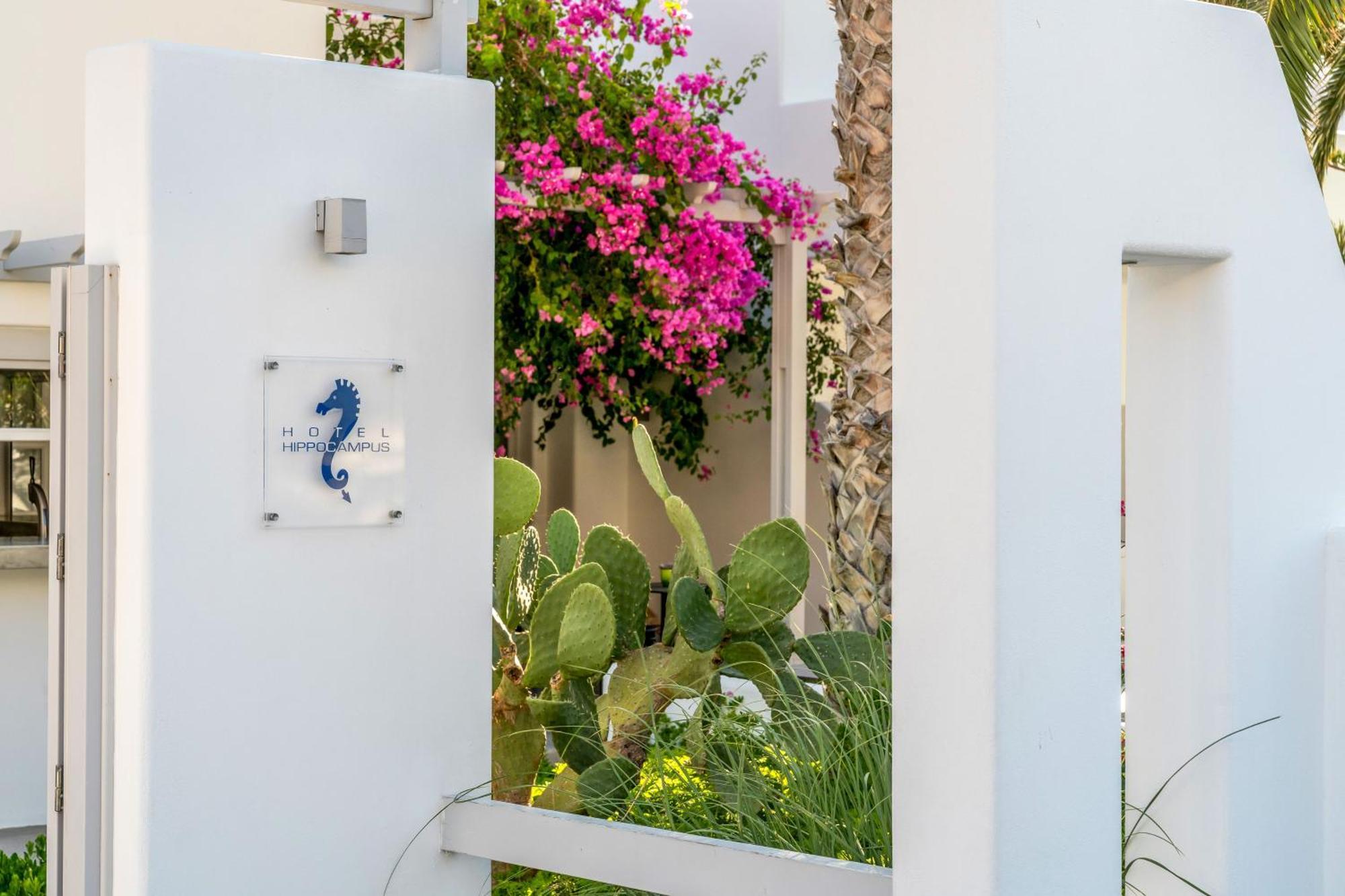 Hippocampus Hotel Kamari (Santorini)