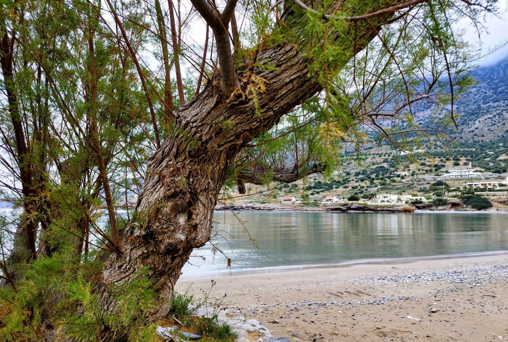 Tholos Alexandra's Beachfront House Holiday home Kavousi (Lasithi)
