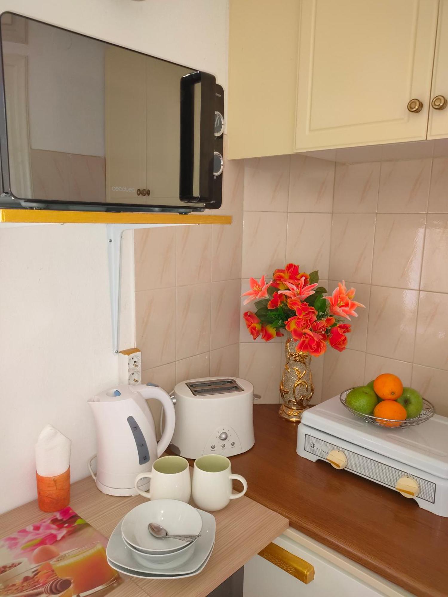 Evli Apartment Rethymno (Crete)