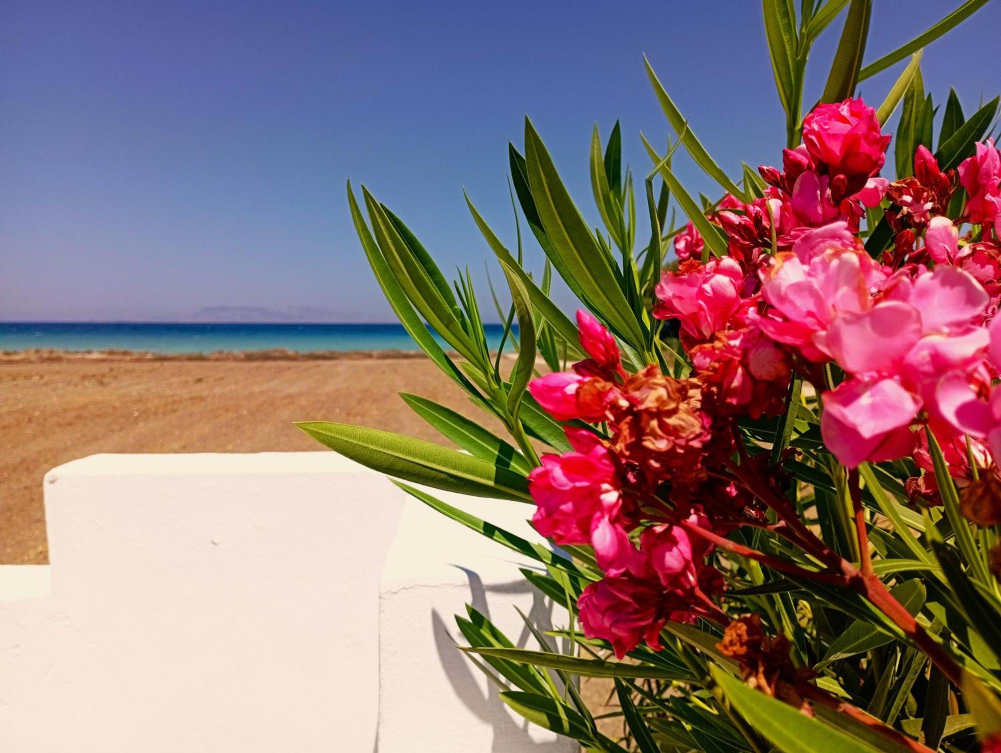 Nautilus House Paradisi (Rhodes)