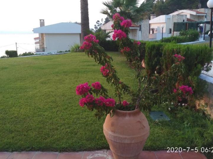 Yades Elegant 2 Minutes Away From The Holiday home *