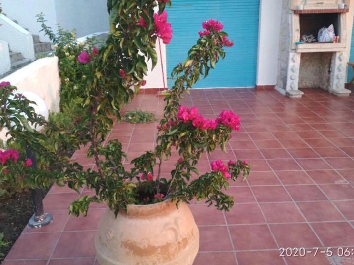 Holiday home Yades Elegant 2 Minutes Away From The Kallithea (Chalkidiki)