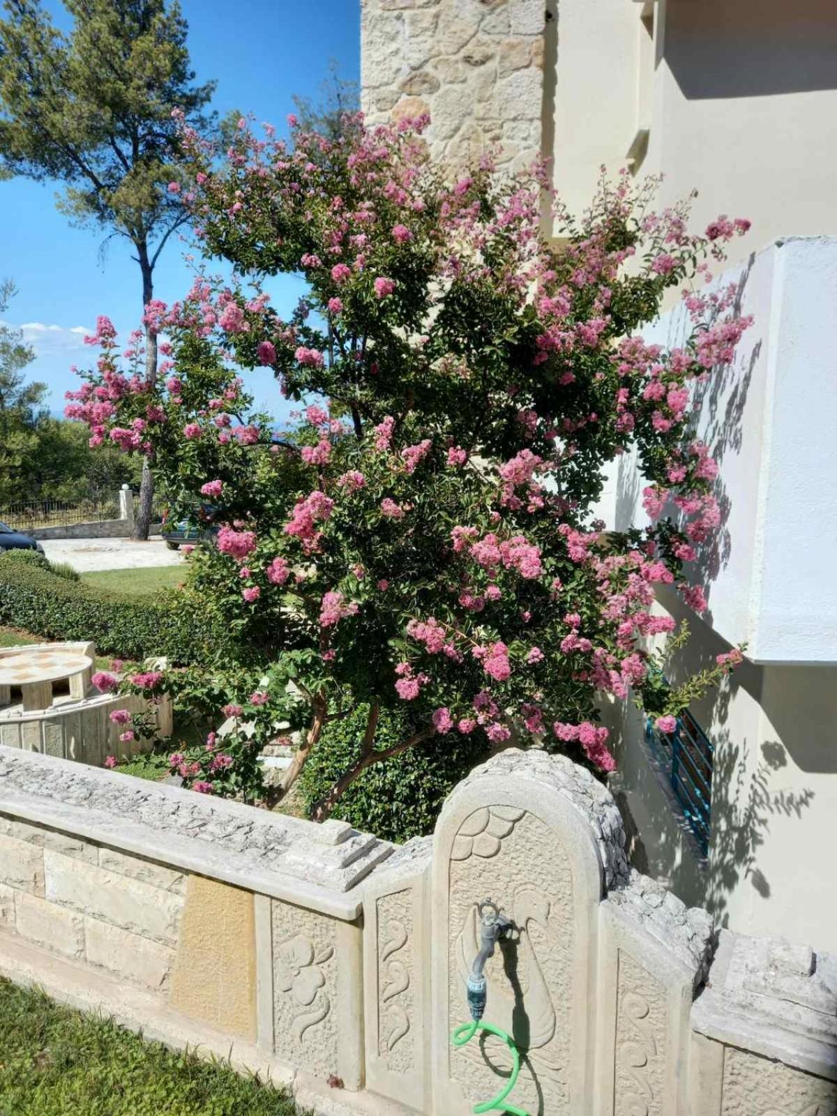Holiday home Yades Elegant 2 Minutes Away From The Kallithea (Chalkidiki)