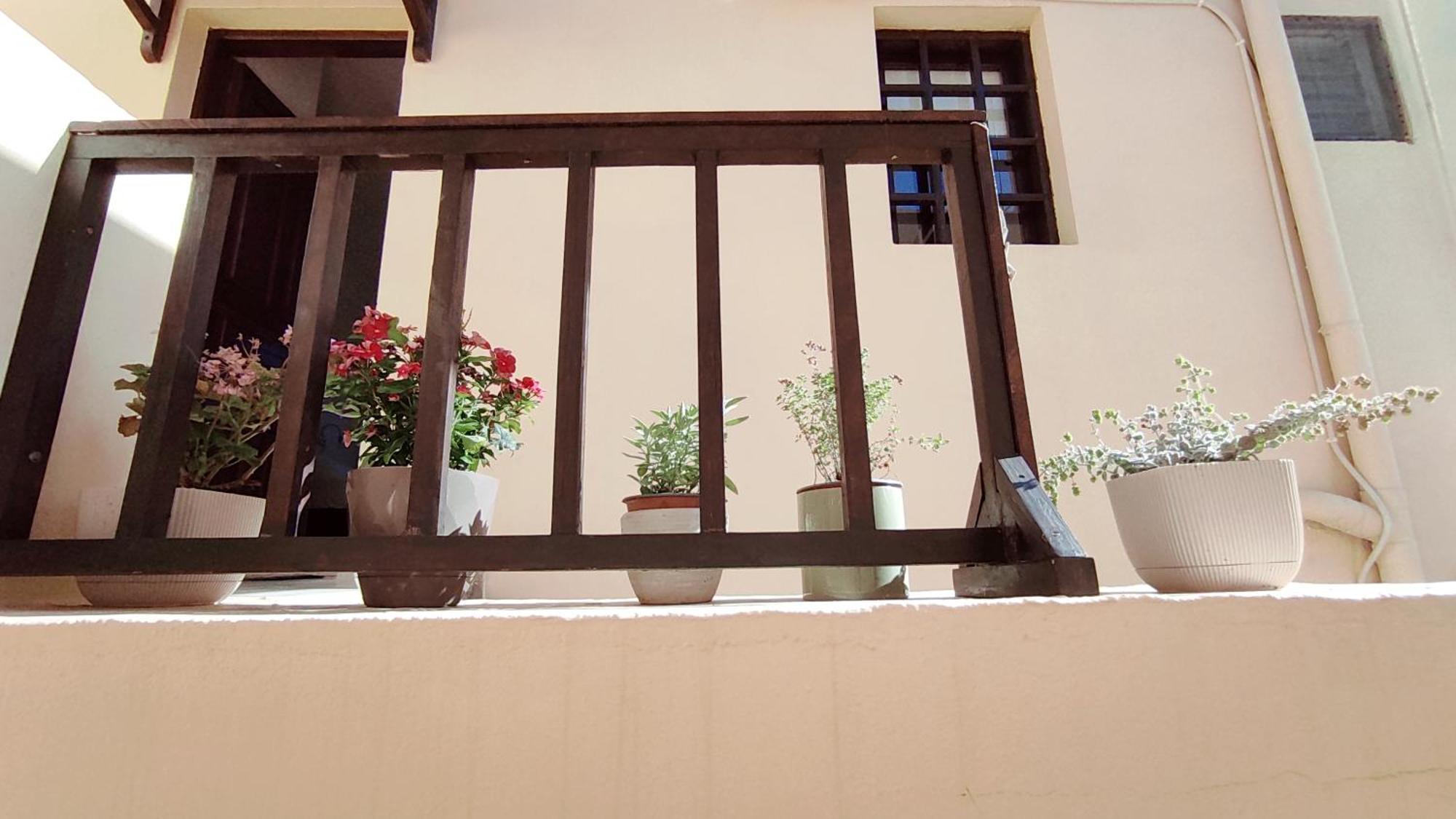 Apartment Dedalos N2 Mountain View Apartment-30 Metres From The