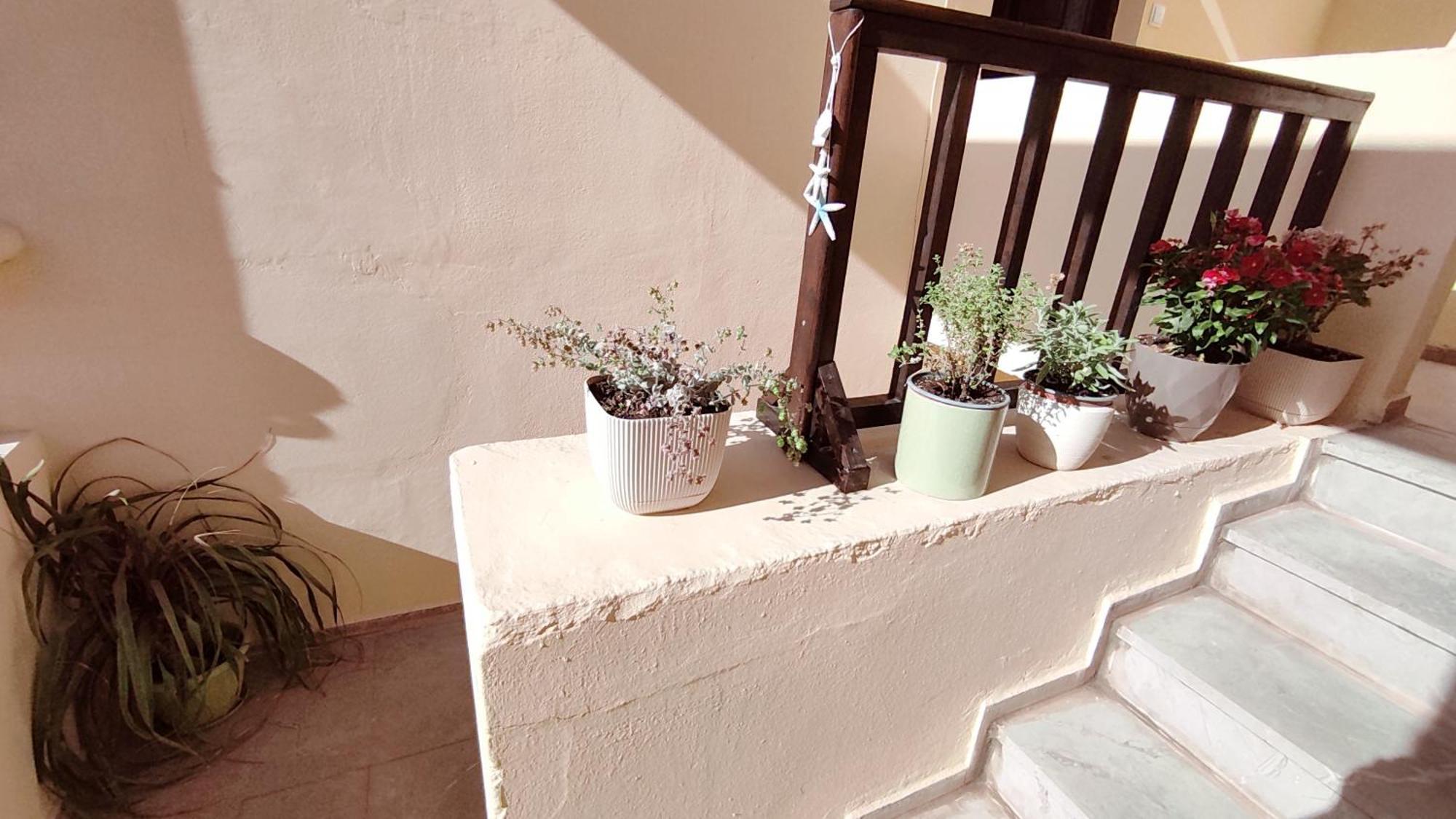 Dedalos N2 Mountain View Apartment-30 Metres From The