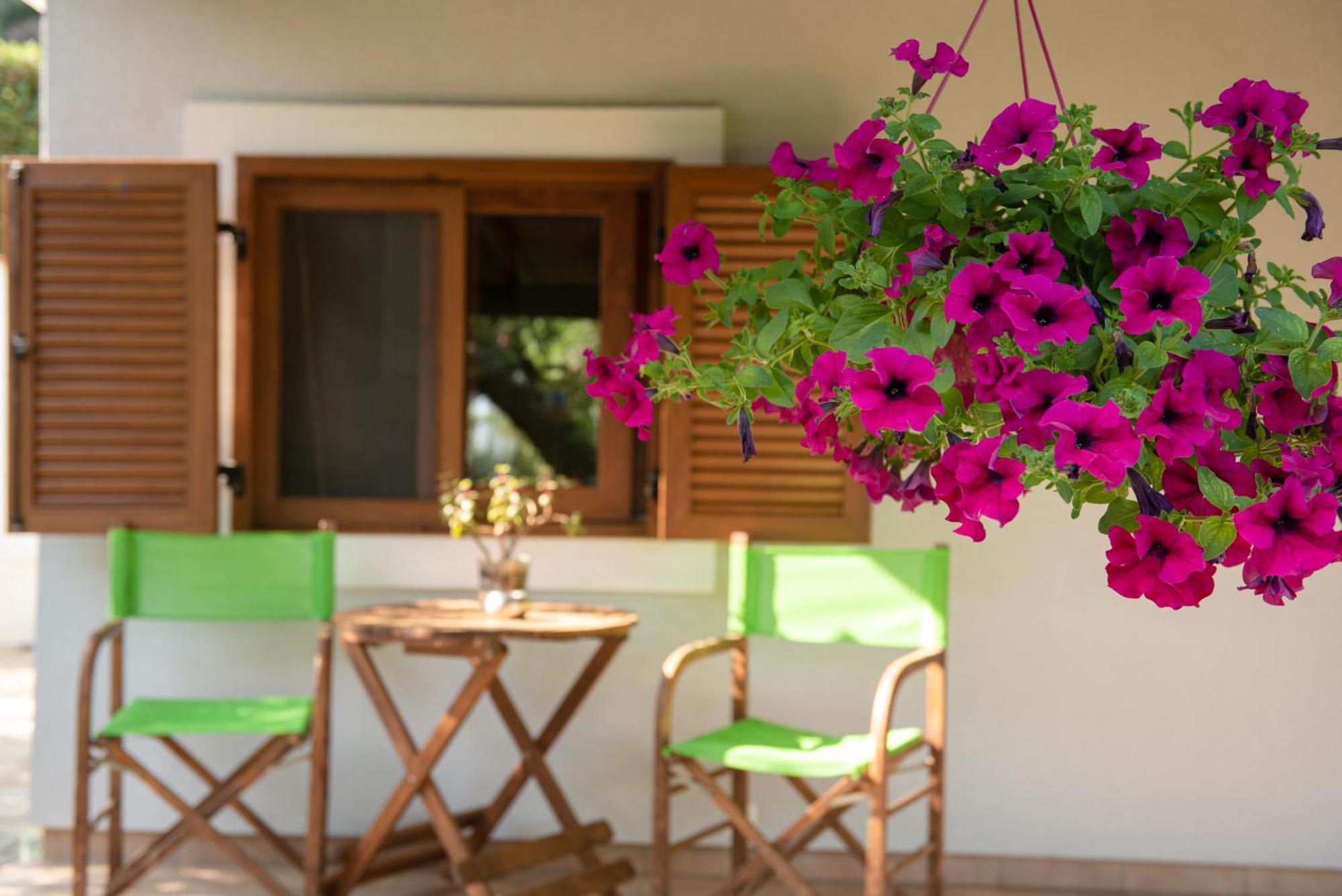 Villa Ktima Delmare Pantazara Nea Skioni