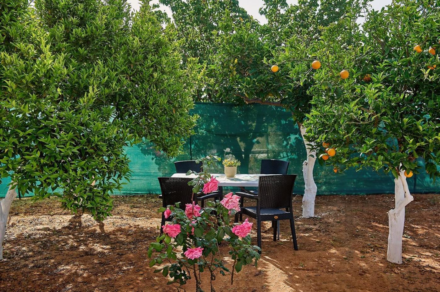 Villa View *