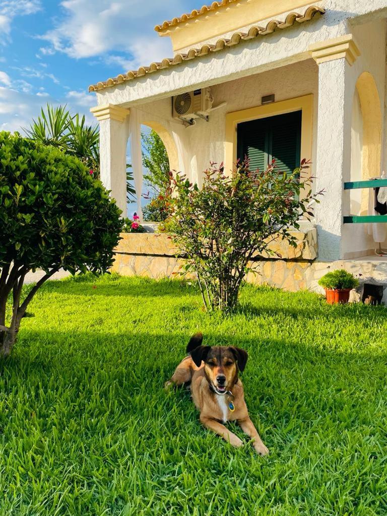 Su Casa Holiday home *