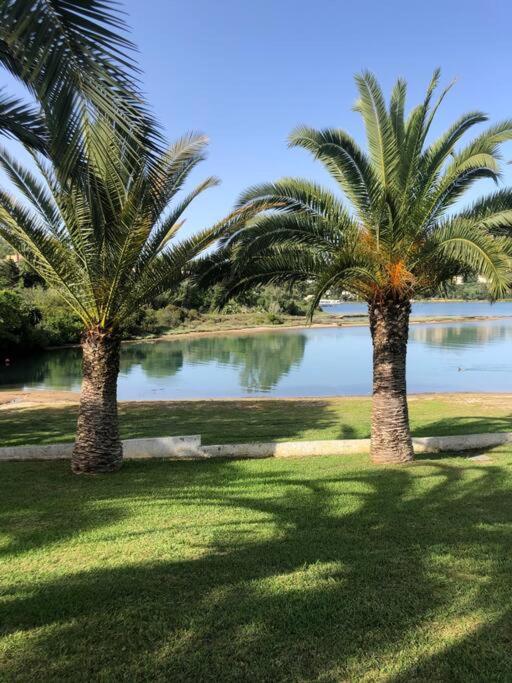 Palme E Mare Corfu Danilia