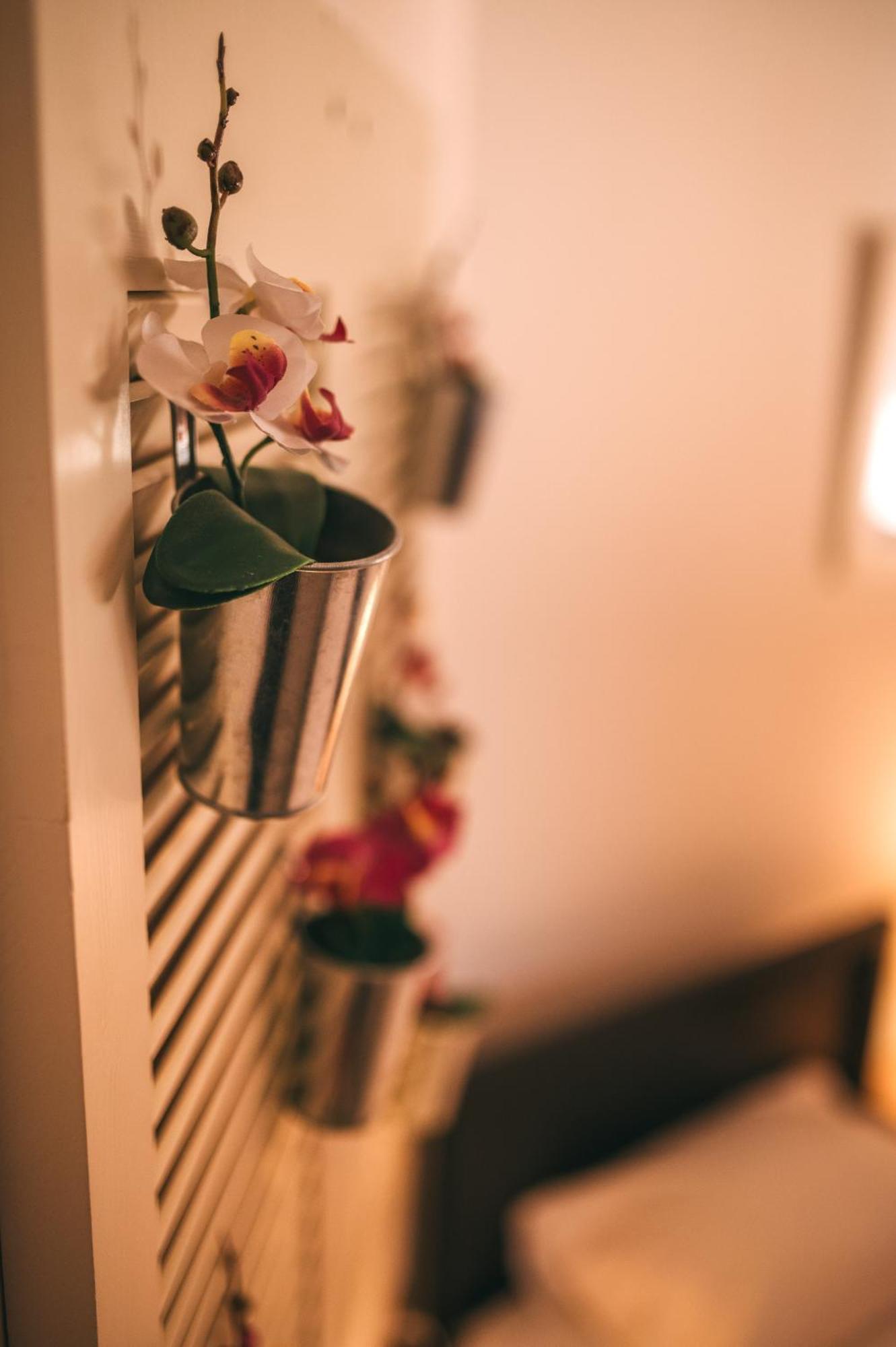 Apartment Dream *