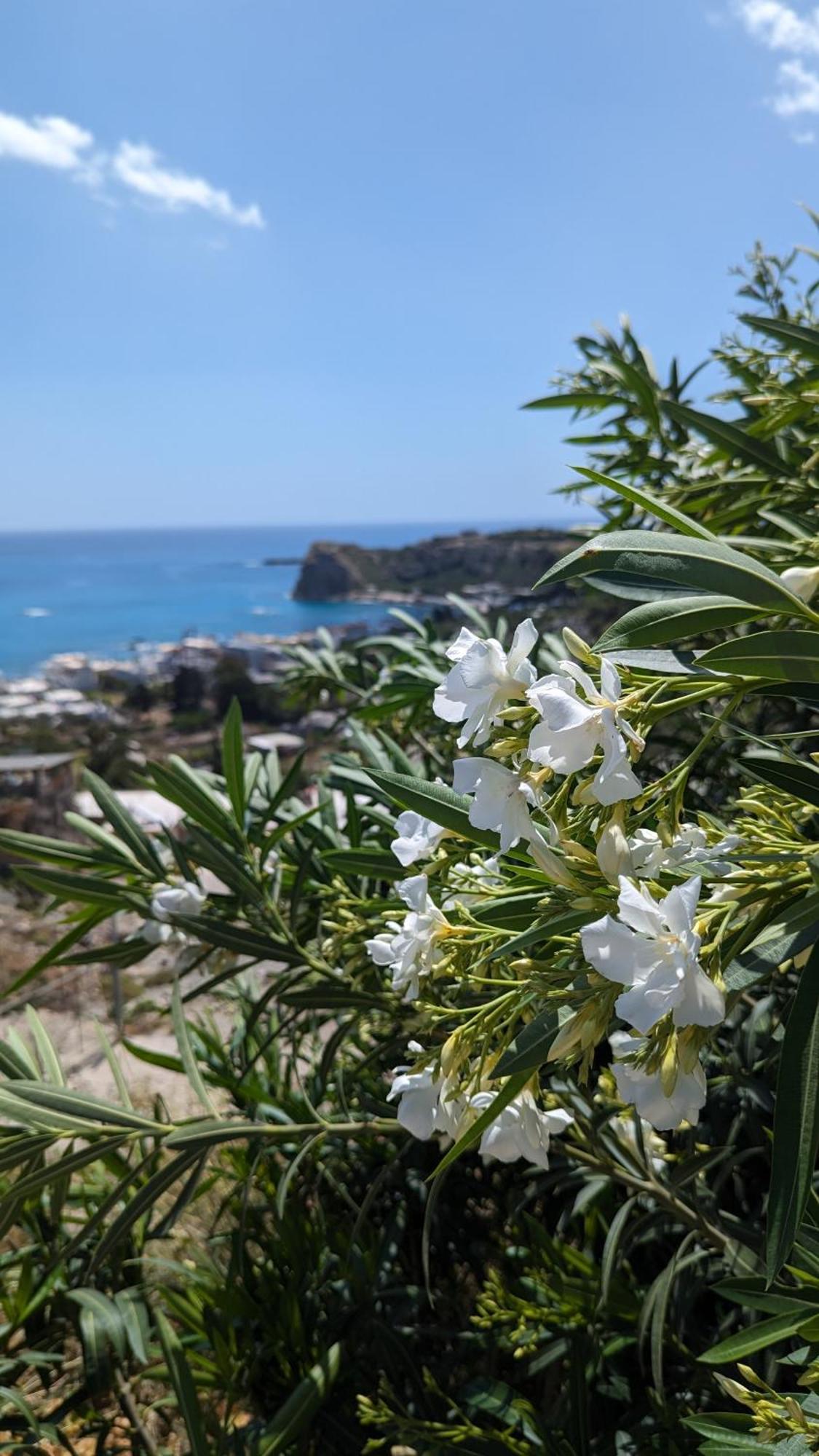 Holiday home Kira's Panoramic View