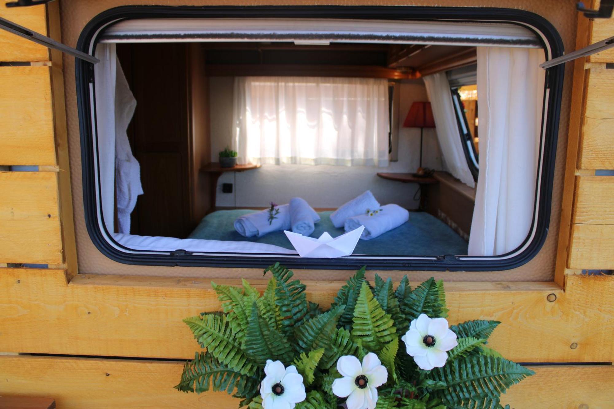 Campsite Nature Habitat Pentati