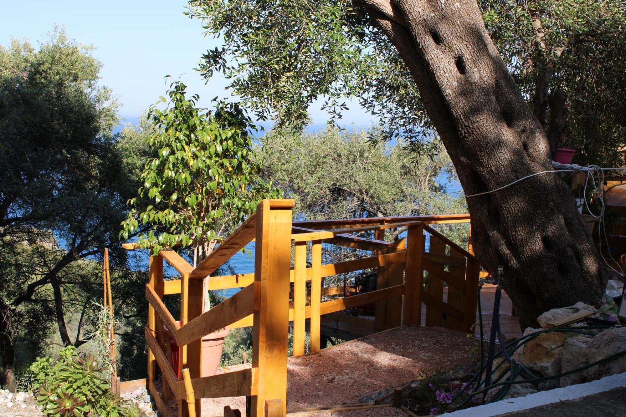 Nature Habitat Campsite *