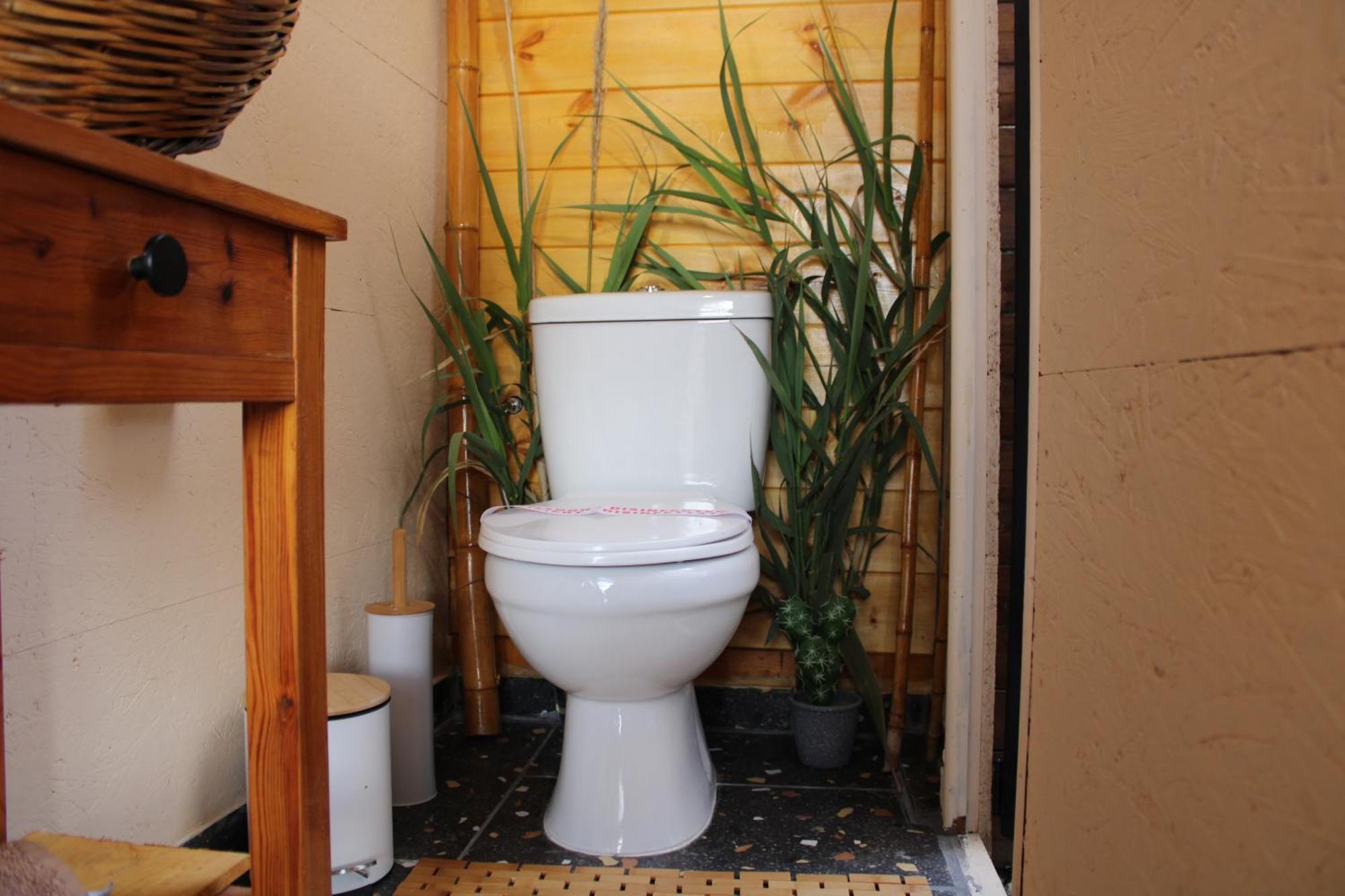 Nature Habitat