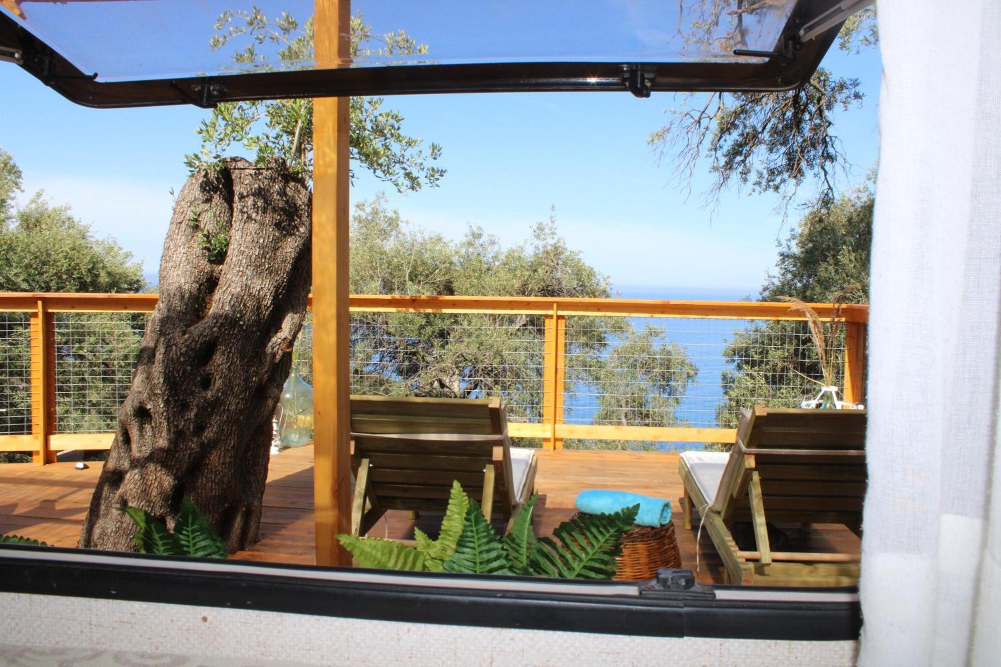 Nature Habitat Campsite