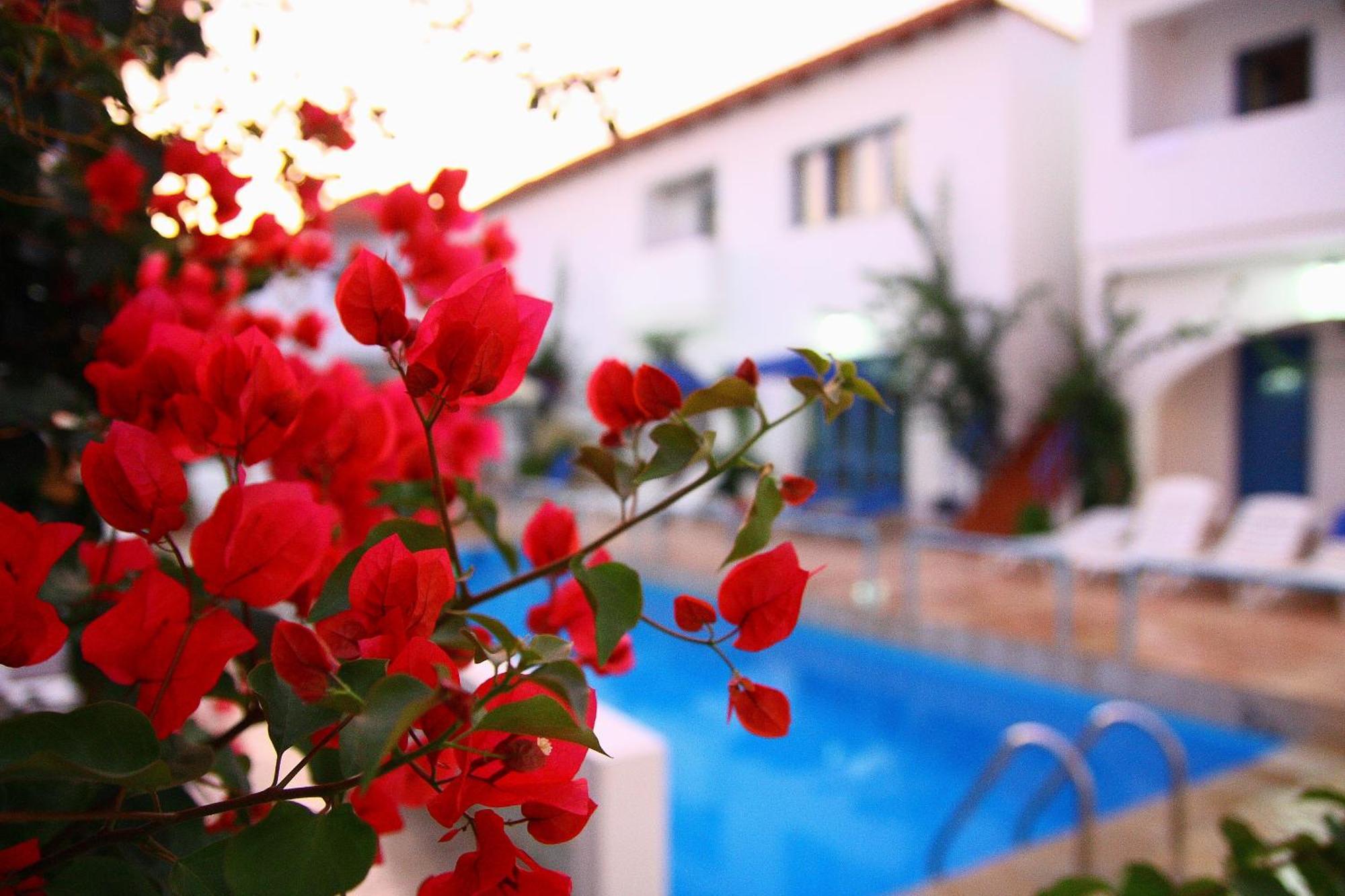 Iliana Panormos (Crete)