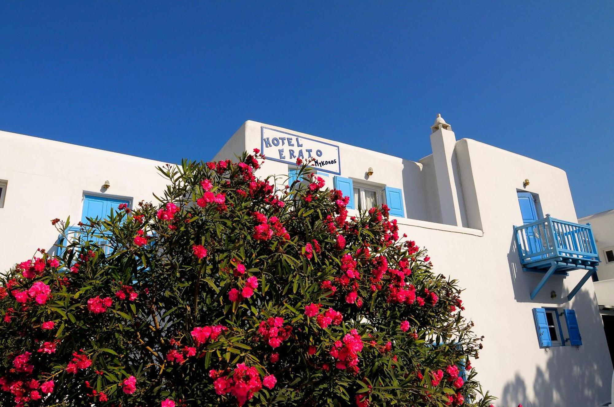 Hotel Erato Mykonos Ornos (Mykonos)