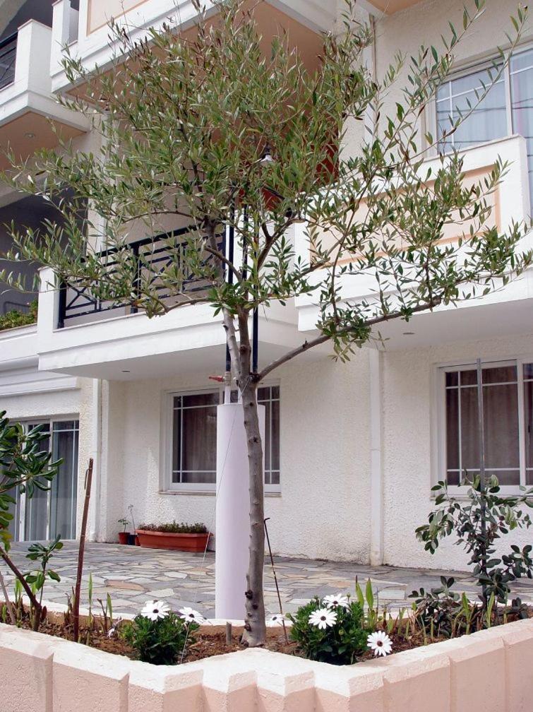 Apartment Doreen Suites *