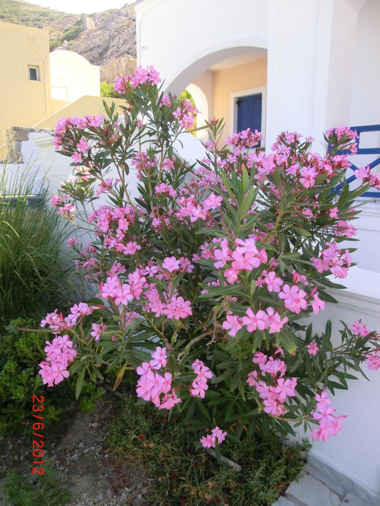 Aparthotel Aegean View Kamari (Santorini)