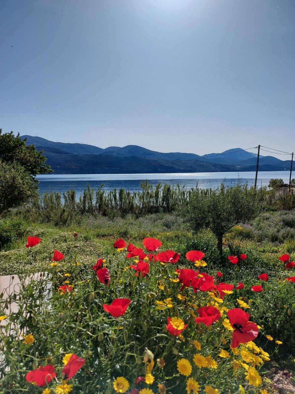 Villa Apollonides Seafront Villa 2 Melete *