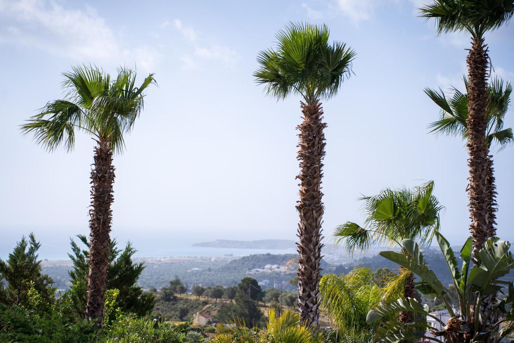 Villa Chrysa Rhodes