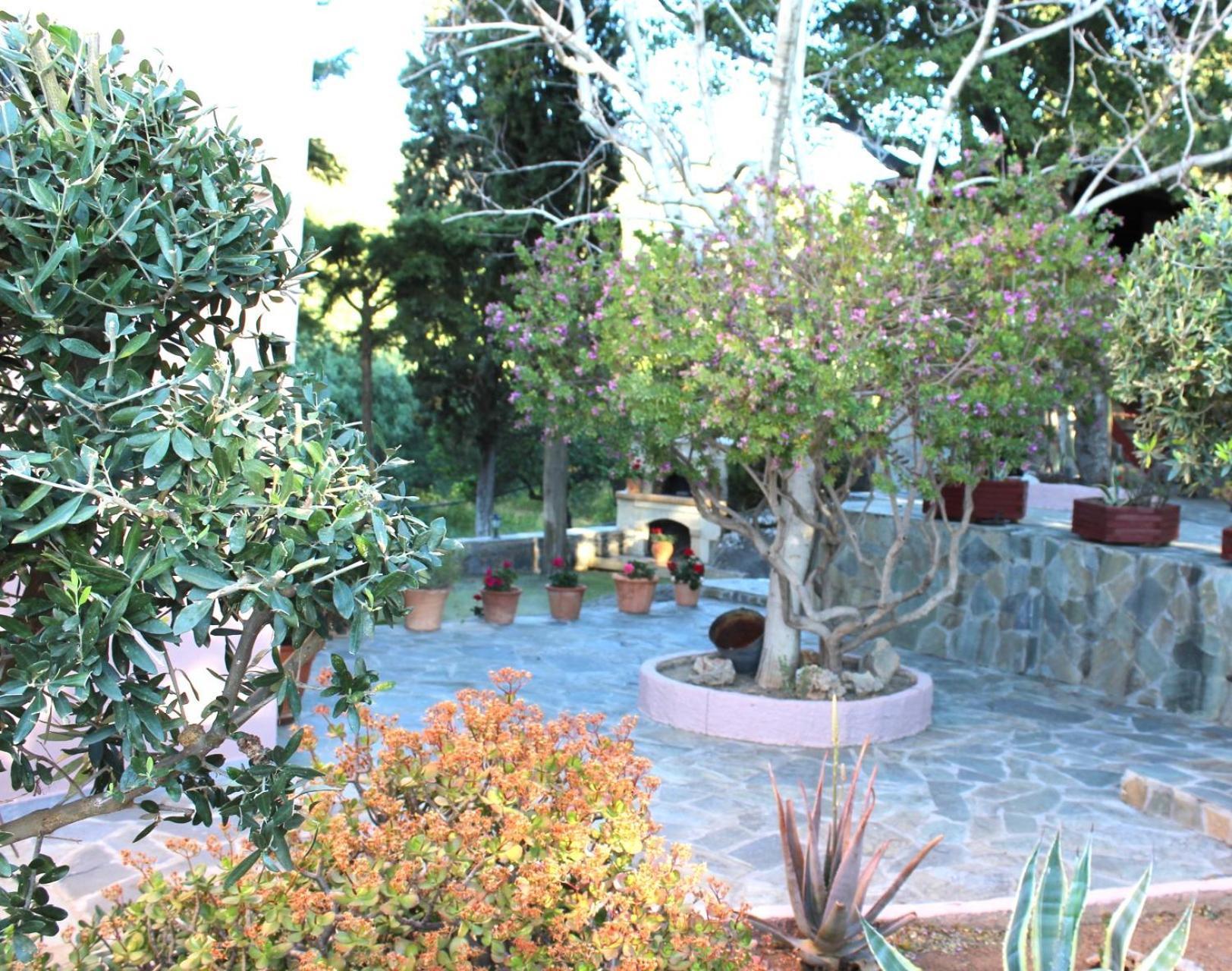 Villa Elis Superb *
