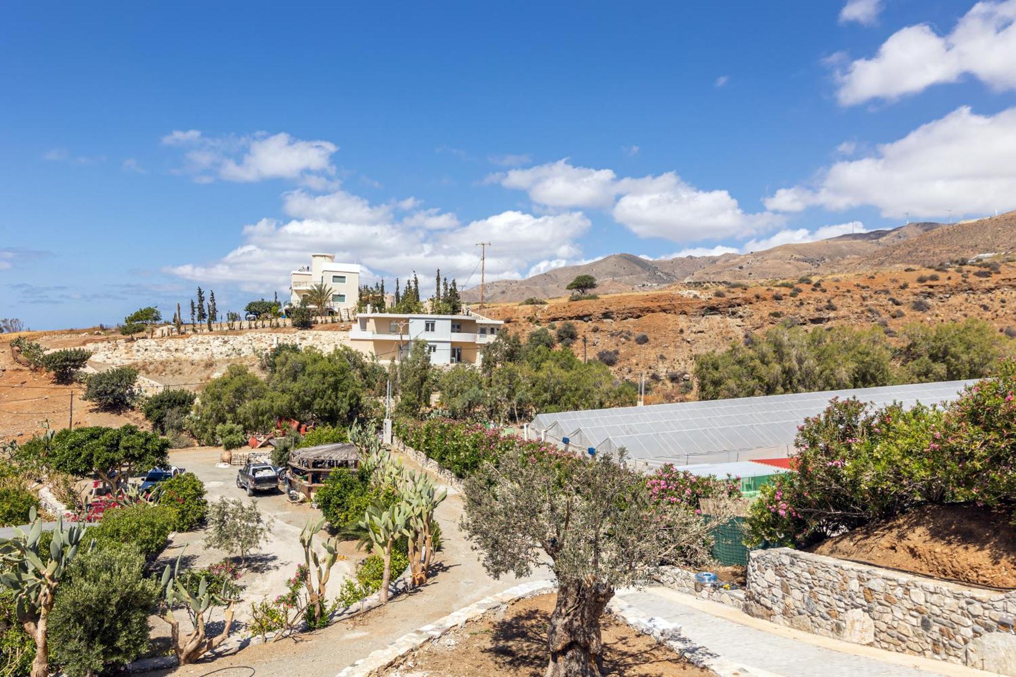 Hotel Mythos Village Diskos