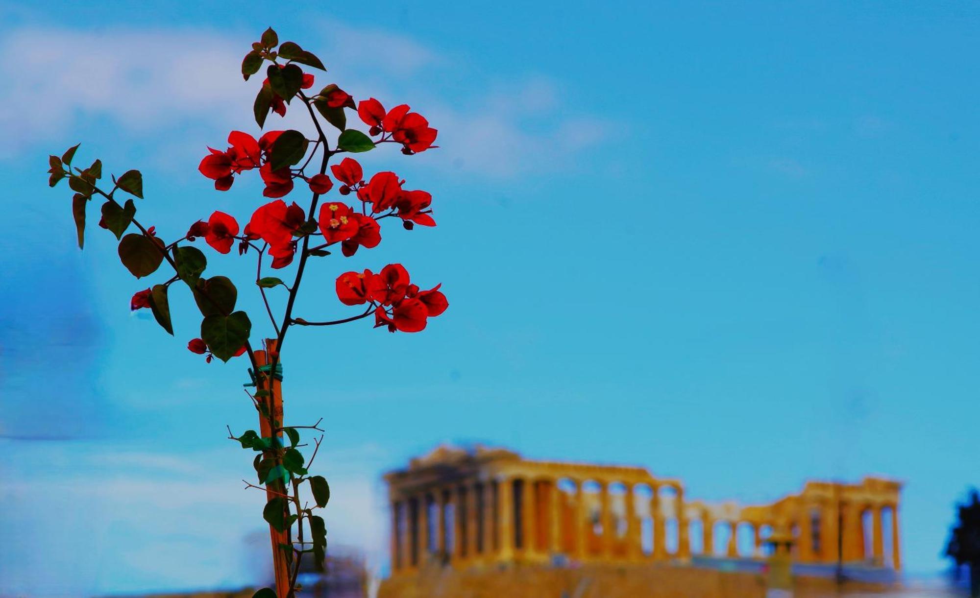Aparthotel Absolute Acropolis View Athens