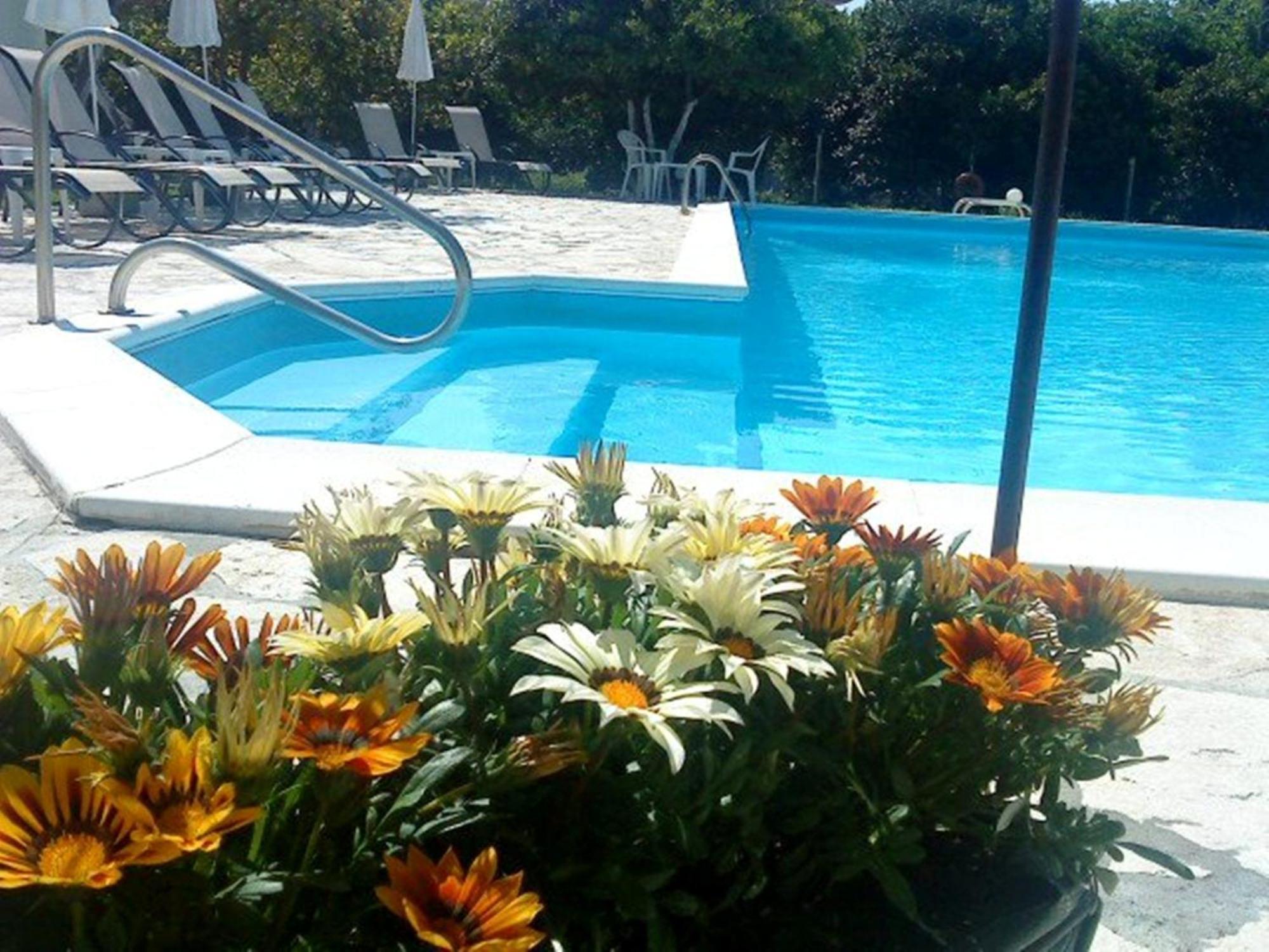 Apartment Marketos