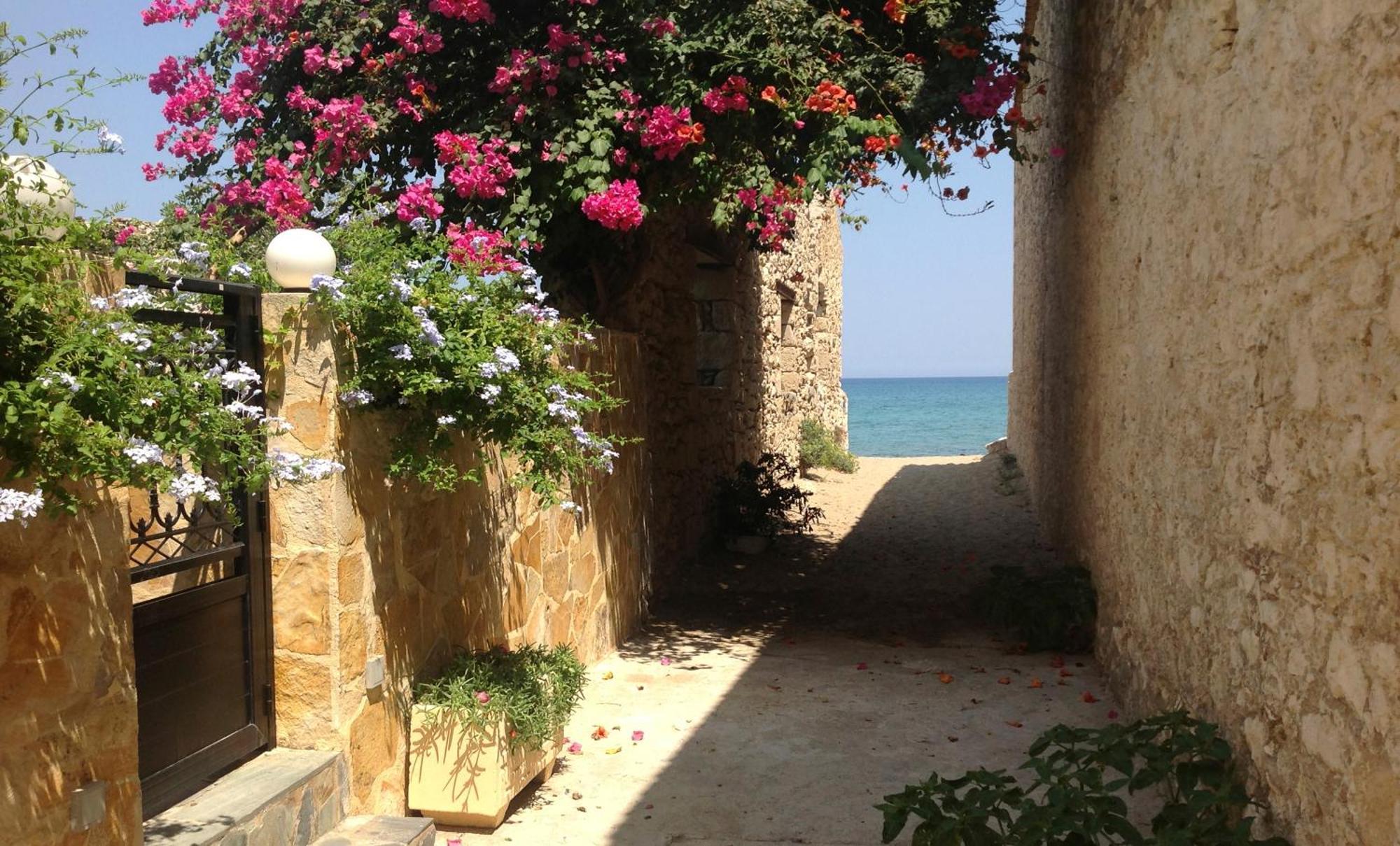 Asterias Studios &