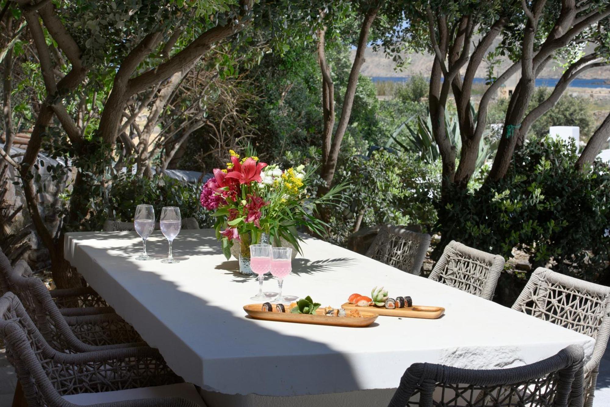 Mykonos Dream Ftelia (Mykonos)