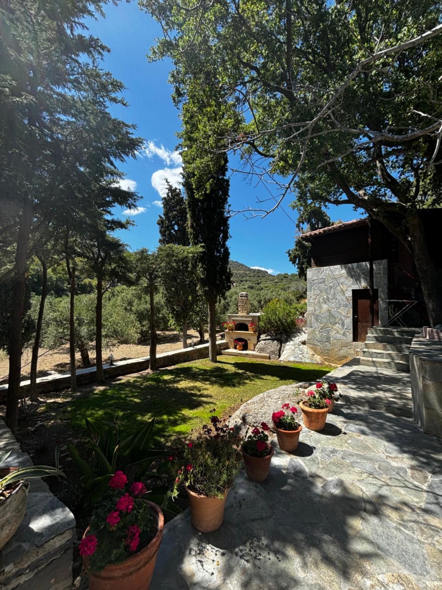 Elis Superb Villa *