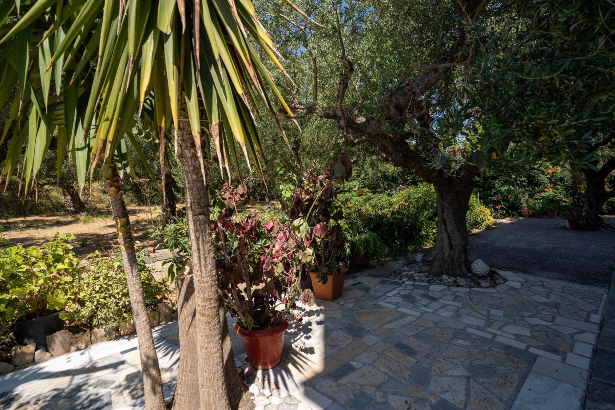Skyblue Horizon 3 Apartment Tsilivi (Zakynthos)