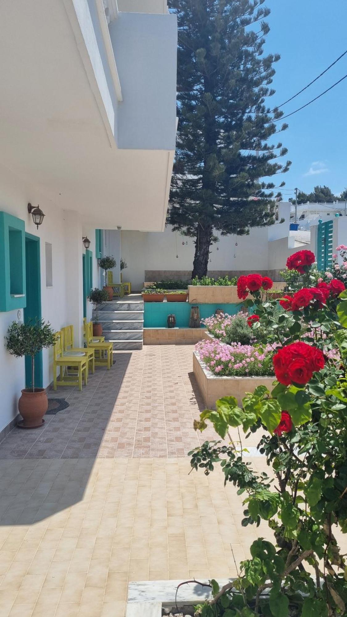 Arocaria In With Garden , Mountain And Sea View