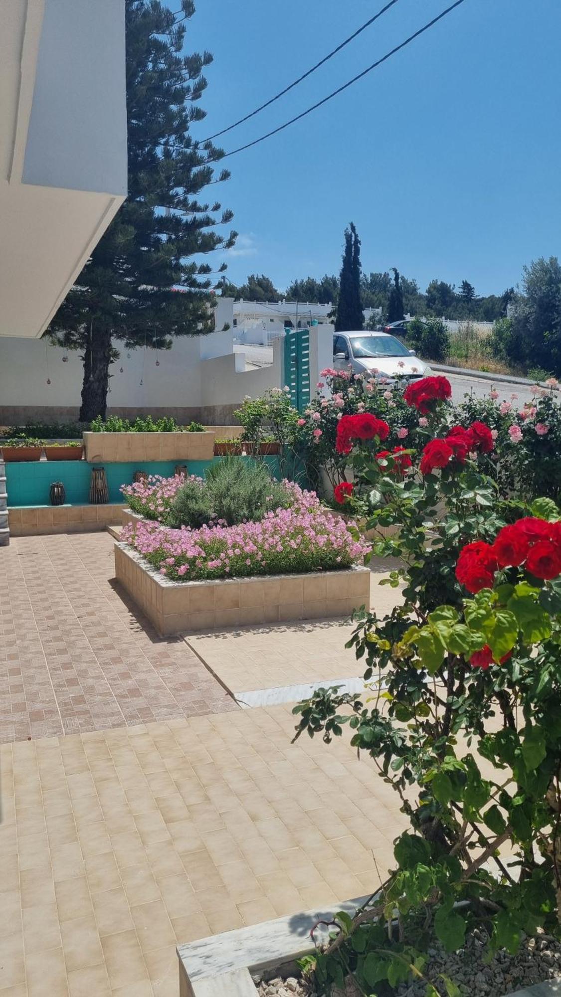 Arocaria In With Garden , Mountain And Sea View Apartment Faliraki