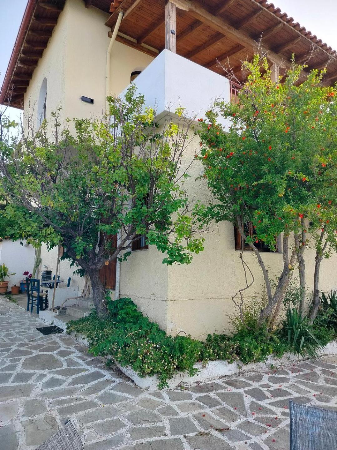 Olga & Villa Mola Kalyva