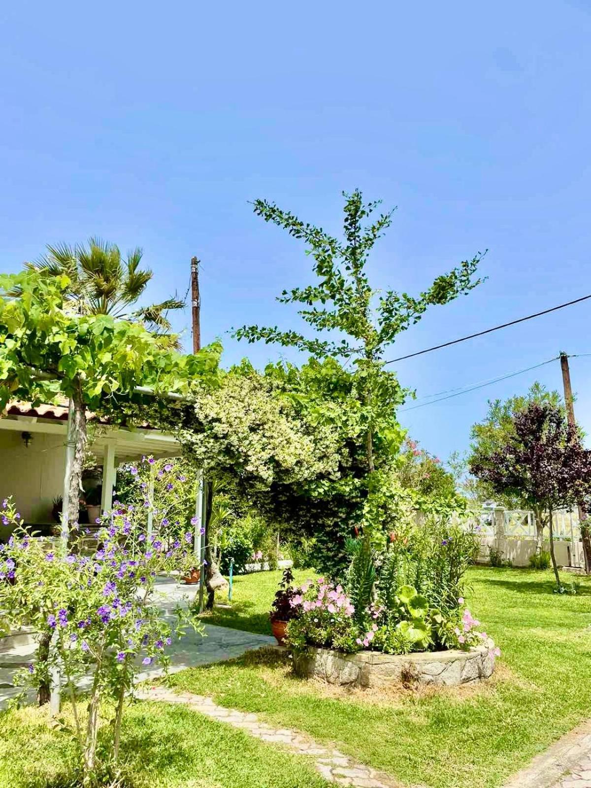 Nina Holidays Holiday home